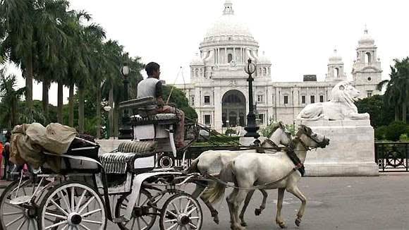 Escorts in Rajabazar Kolkata
